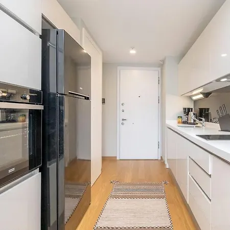 0055 - Kadikoy, Comfy, Cozy And Modern. דירה איסטמבול